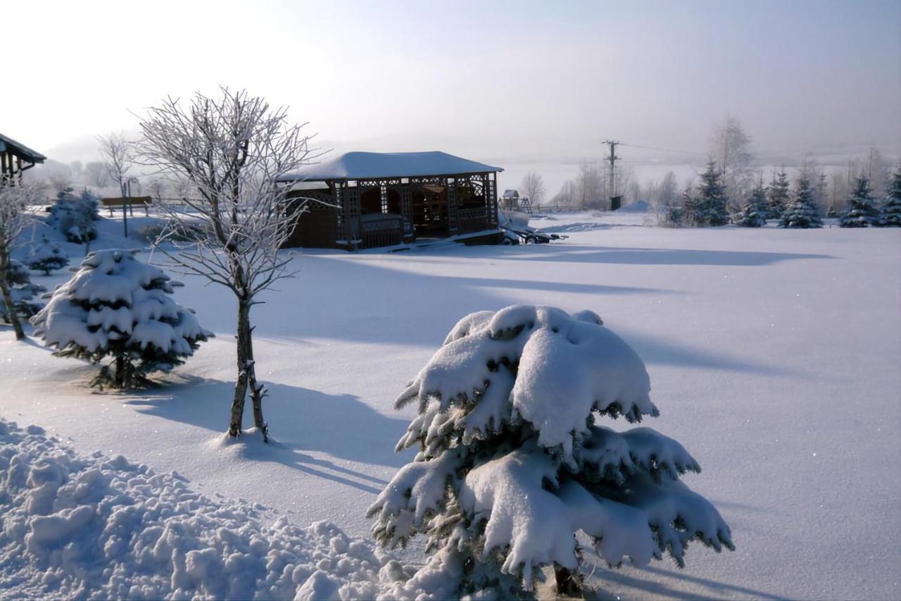 Stanica Pod Zadzierna Domki Caloroczne Lubawka Buitenkant foto