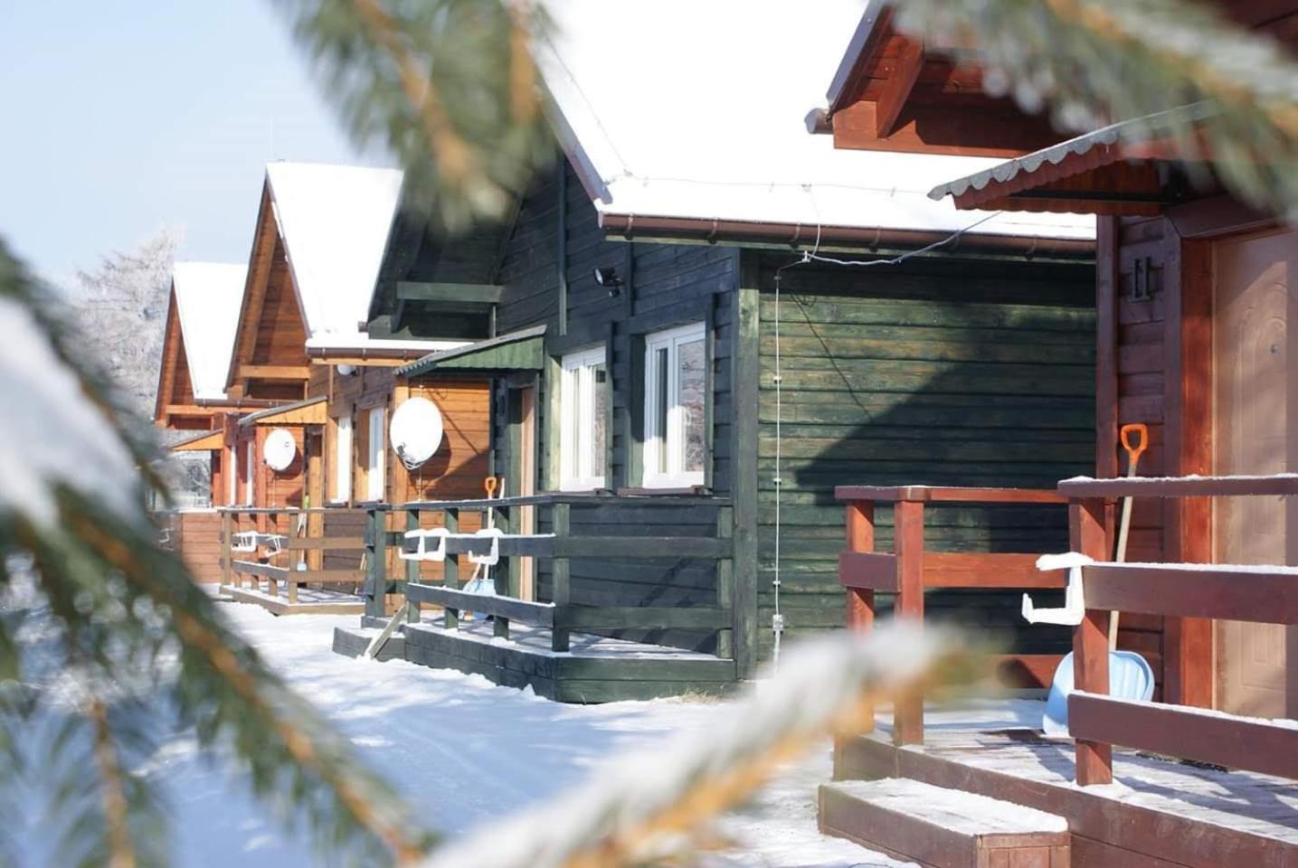 Stanica Pod Zadzierna Domki Caloroczne Lubawka Buitenkant foto